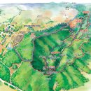 곶자왈거문오름 이미지