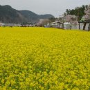 상맹방1리마을회관 이미지