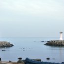 동백아나고 이미지