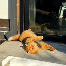 함양집 1호점 | 마을/월정교/교촌한옥마을/경주원조콩국/이상복 경주빵/캐리커쳐/스컹크웍스카페/함양집/경주뼈찜숯불구이