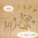 야돼지다