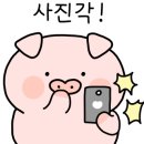 이차돌(평촌점) 이미지