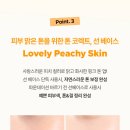 소도6