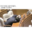 ANG 이미지