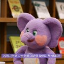 대원카써비스 | [스위스 캠핑카 여행] 2025.10.5-7 라우터브루넨 캠핑장 / 융프라우요흐 열차 타는법 / 융프라우요흐...