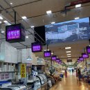 일신수산 | 서울 | 노량진 수산시장 홍어추천 택배 배달 가능 [ 일신홍어 ]