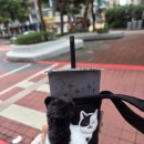 우티랑 | 대만 밀크티 &amp; 차 모음 - 우스란, 일목일, 밀크샤, 구이지, 우티, 스타벅스 + 무인양품, 까르푸 기념품