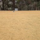 동코스5번 이미지