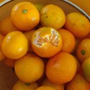 선화농원 이미지