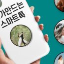 볼리즘 이미지