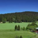 수정에너지 이미지