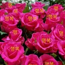 (합)와룡에너지 | ♤한양도성 백악구간12/2(목)