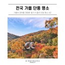 문광여인숙 | 전국 은행 &amp; 단풍 명소 6곳: 단풍 시기 맞춰 떠나기 좋은 가을 여행지 추천