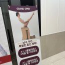 오브필라테스 - 청주시 흥덕구 가로수로1164번길 41-31 | 울산 삼산동 필라테스 추천, 4:1 소수정예 드오브필라테스 솔직후기
