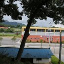정부인 강씨 묘역 및 석물 네이버블로그