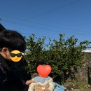 아람별방 이미지