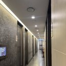 동판교로177번길 | 판교 맛집 | 직장인 회식·청모·점심 추천, 이춘복참치 점심 특정식 후기
