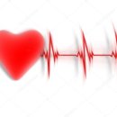 클로버짐 이미지