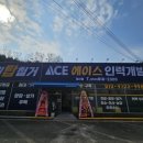 에이스인력개발