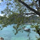 행복의섬 | 푸켓 피피섬투어 카타마란보트 카이섬 준비물 솔직후기