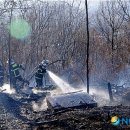 신창초교 이미지