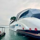 키즈돌핀 | 베트남 하롱베이 당일투어 아이랑 돌핀크루즈 가격정보 장단점