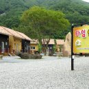 타임9000 이미지