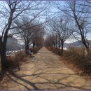 올레길 하천형 3코스 이미지