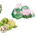 (주)에스알씨 이미지