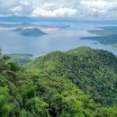 세실리아스 이미지