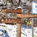 대룡산주유소 이미지