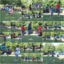 청산관광농원 캠핑장 이미지