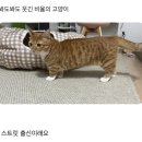 호키토키송천 | 我6月的一部分是这样的