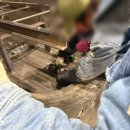 [현장후기] 철탑 제작 현장 M36 볼트 체결, JW-WED40CX 배터리토크렌치 긴급 렌탈로 안전하고 빠르게