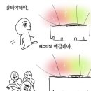 비트빌