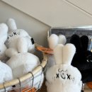 메디에이드 | 가양역 주차가능 대형 베이커리 카페 - 19G 모모이베이커리카페 소금빵 후기