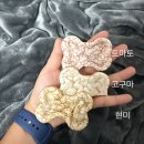 미용특공대 | 강아지특공대 강아지 쌀과자 개뻥 후기(내돈내산)