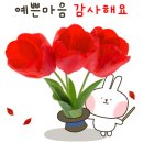 의사양반 낮춰 주시유 이미지