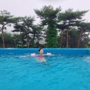 하나로 해결 올인원 샴푸바 이미지