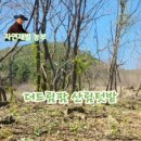 더드림팜 이미지