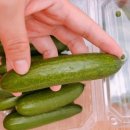 으뜸농장 1 이미지