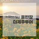 홍반장더투어제주