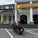 속초로 물회먹으러 가요~(실시간 업로드) 이미지