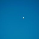 더몽상드 이미지