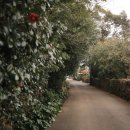 신흥2리마을 이미지