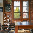 군청 메타세콰이어길 | 담양 빵지순례 베비에르 케이크 빵집 베이커리 대형카페