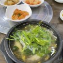굴러들어온복집 | [인천/부평/부개동] 최애 해장국 복지리 복국 맛집 굴러들어온복 후기(feat. 복껍질무침 포장)