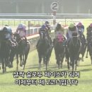 로드투더탑 티스토리