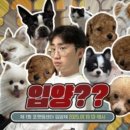 포캣