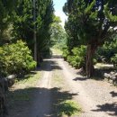 강정동-49 이미지